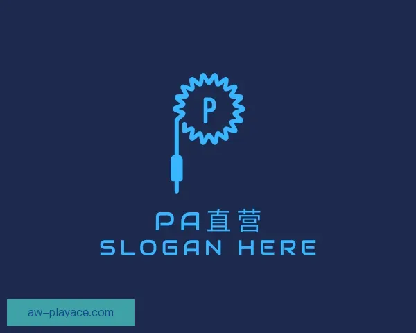 发现PA直营